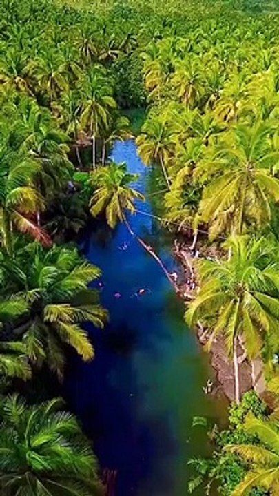 This is the beautiful view from siargao