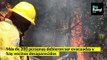 VIDEONOTA | Incendios en la Patagonia: destrozos, personas desaparecidas y evacuados