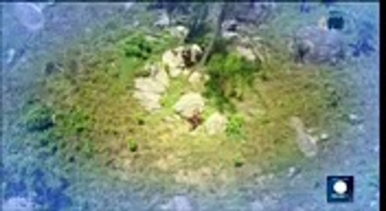 NOVELA GÊNESIS CAPITULO 43
