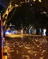 Roi Na Ninja (Full Song) Shiddat | Nirmaan | Goldboy | Tru Makers | Latest  Punjabi Songs 2017