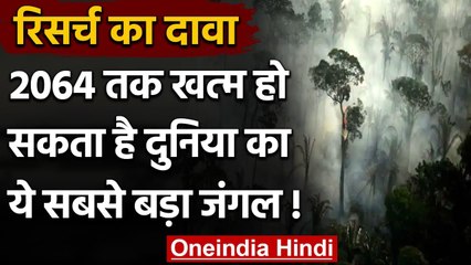 Amazon forest: Research में खुलासा, 2064 तक खत्म हो जाएगा विश्व का सबसे बड़ा Jungle | वनइंडिया हिंदी