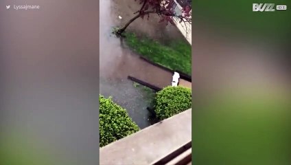 [TRANSLATE] - Flash floods overwhelm Illinois residents