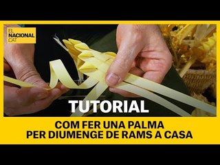 TUTORIAL Com fer una palma per diumenge de Rams a casa