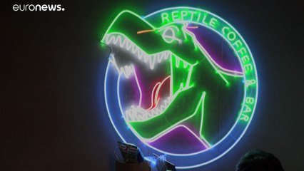 شاهد: رغم كورونا ... انتشار الثعابين والخنازير في "مقاهي الحيوانات الغريبة" بالصين