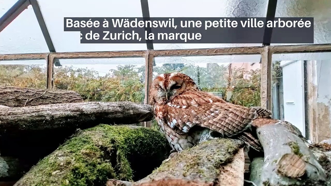 Après l'interview choc de Meghan et Harry, une question agite les réseaux sociaux: D'où viennent les lunettes d'Oprah Winfrey ? - Son lunetier suisse très sollicité!_IN