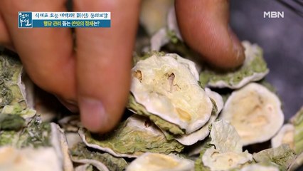 당뇨와 협심증, 뇌졸중 물리친 효자 식재료의 정체!