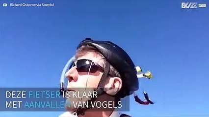 Fietser bedenkt grappige helm voor bescherming tegen agressieve vogels