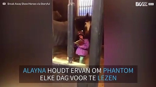 Schattig meisje leest elke dag paard een verhaal voor