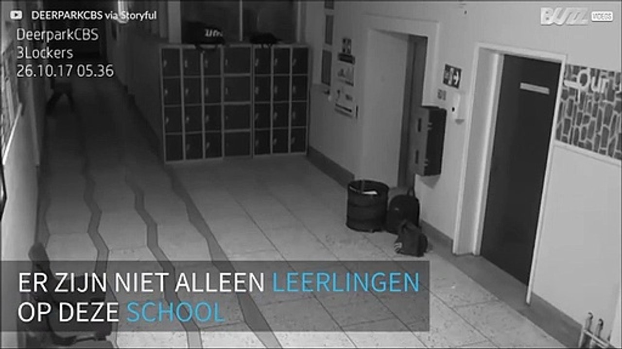 Spook bezoekt Ierse school