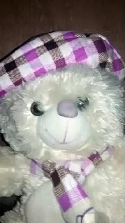 teddy bear