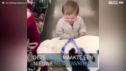Grote hond en klein kind worden vrienden