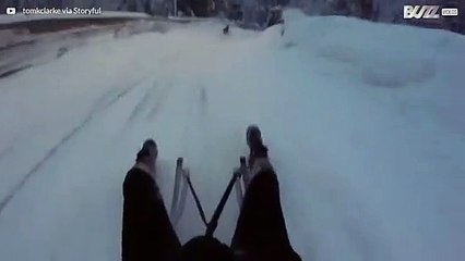 Sleeën eindigt in een hilarische botsing