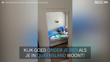 Eng moment: vrouw vindt grote hagedis onder haar bed