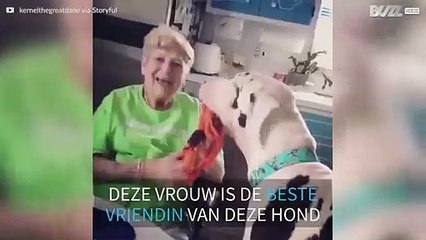 De beste vriend van deze 90-jarige vrouw is een grote hond