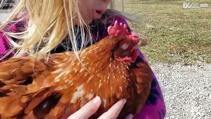 Meisje zingt slaapliedje voor kip