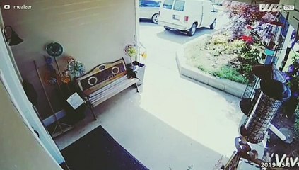 Man stoot hoofd aan vogelkooi