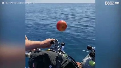 Deze appel kan zweven