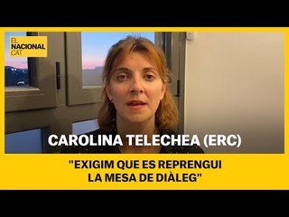 TELECHEA (ERC): "Exigim que es reprengui la mes de diàleg"