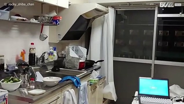 Aardbeving is te voelen op de elfde verdieping