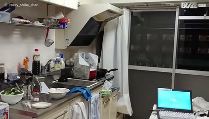 Aardbeving is te voelen op de elfde verdieping