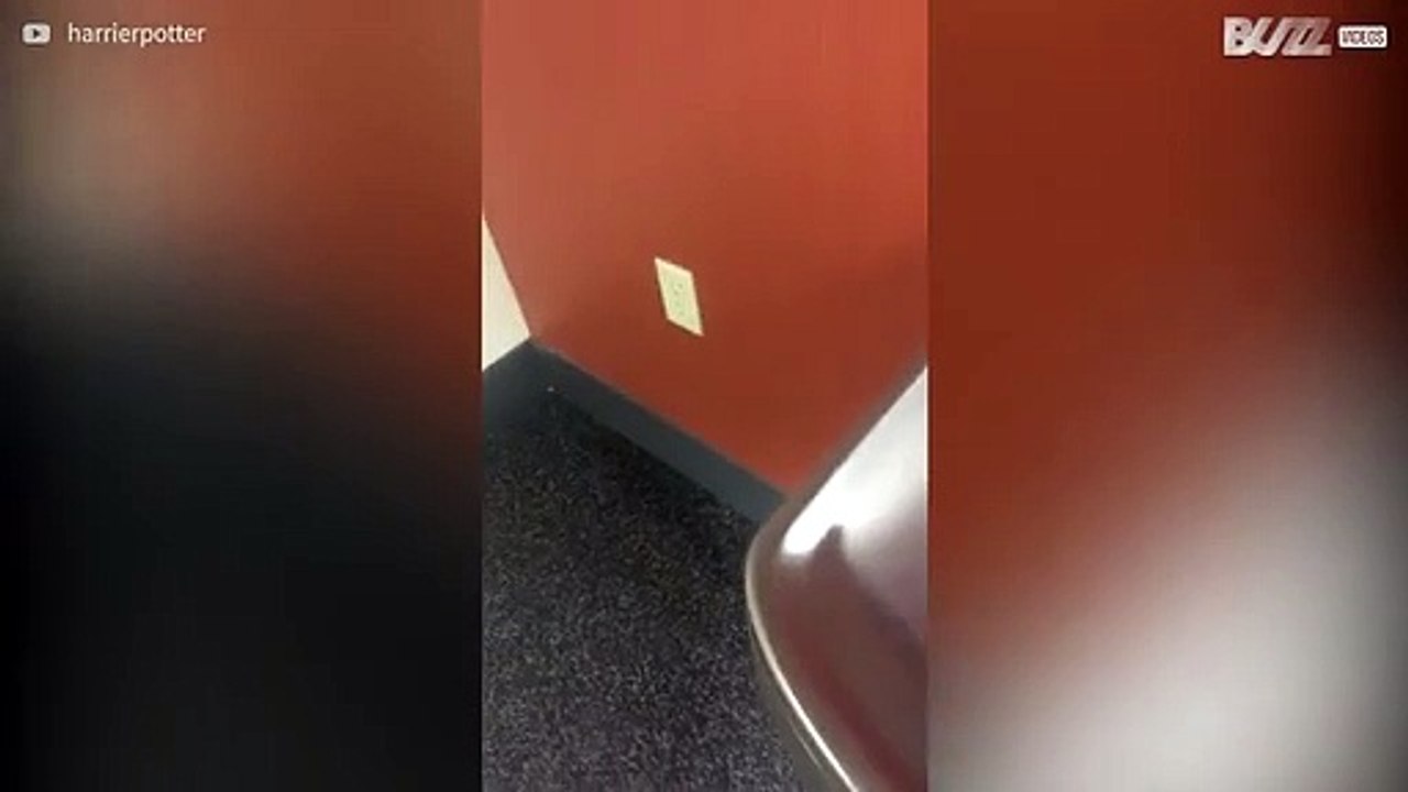 Hotel weet niet dat water en elektriciteit niet samengaan