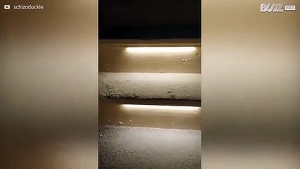 Innovatieve trap met LED lampen