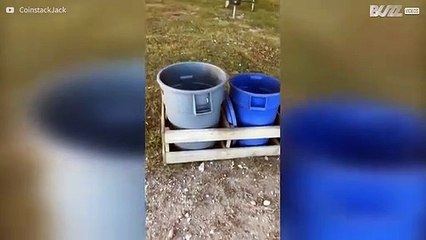 Wat zou er in deze vuilnisbak zitten?