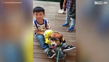 Hond skateboardt met jongetje