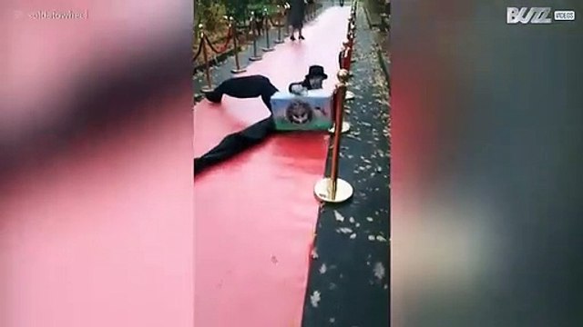 Man op stelten spectaculair onderuit op rode loper