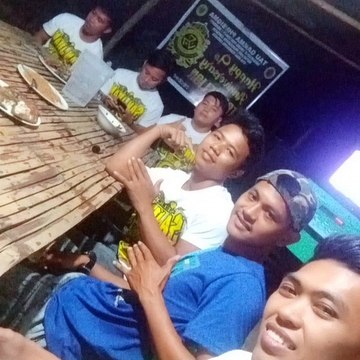 Tau gamma phi