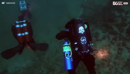 Verrassende onderwaterwereld in Amerikaans meer