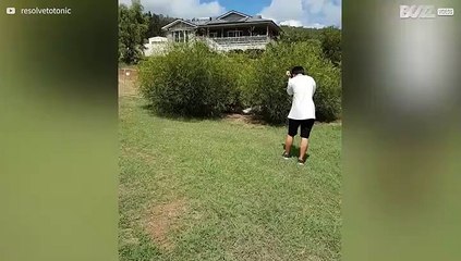 Eenden kunnen alleen in cirkels lopen