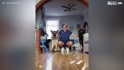 [TRANSLATE] - Dogs have fun in speed eating challenge