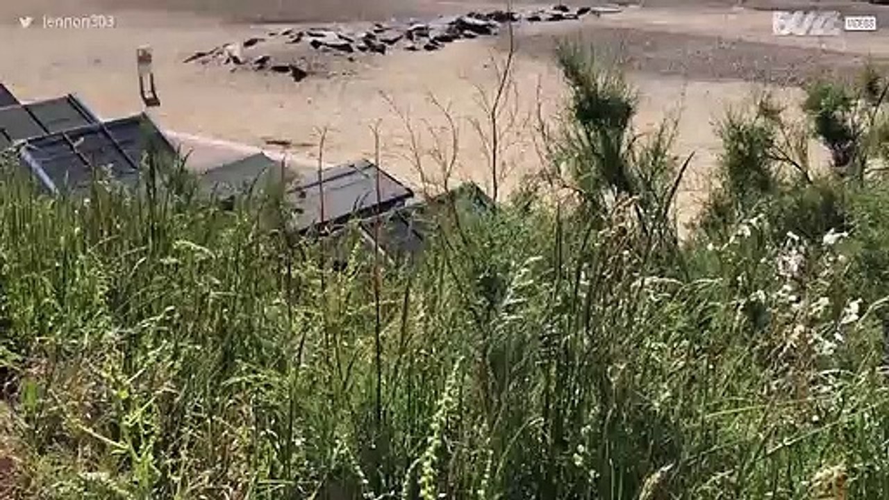 [TRANSLATE] - Dead whale washed up on British beach