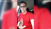 Adorable pet chicklet rides in car with owner -1