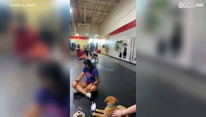 Adorable dog helps athlete chill out before tournament -1