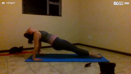 [TRANSLATE] - Cat loves to interrupt owner's yoga sessions 8