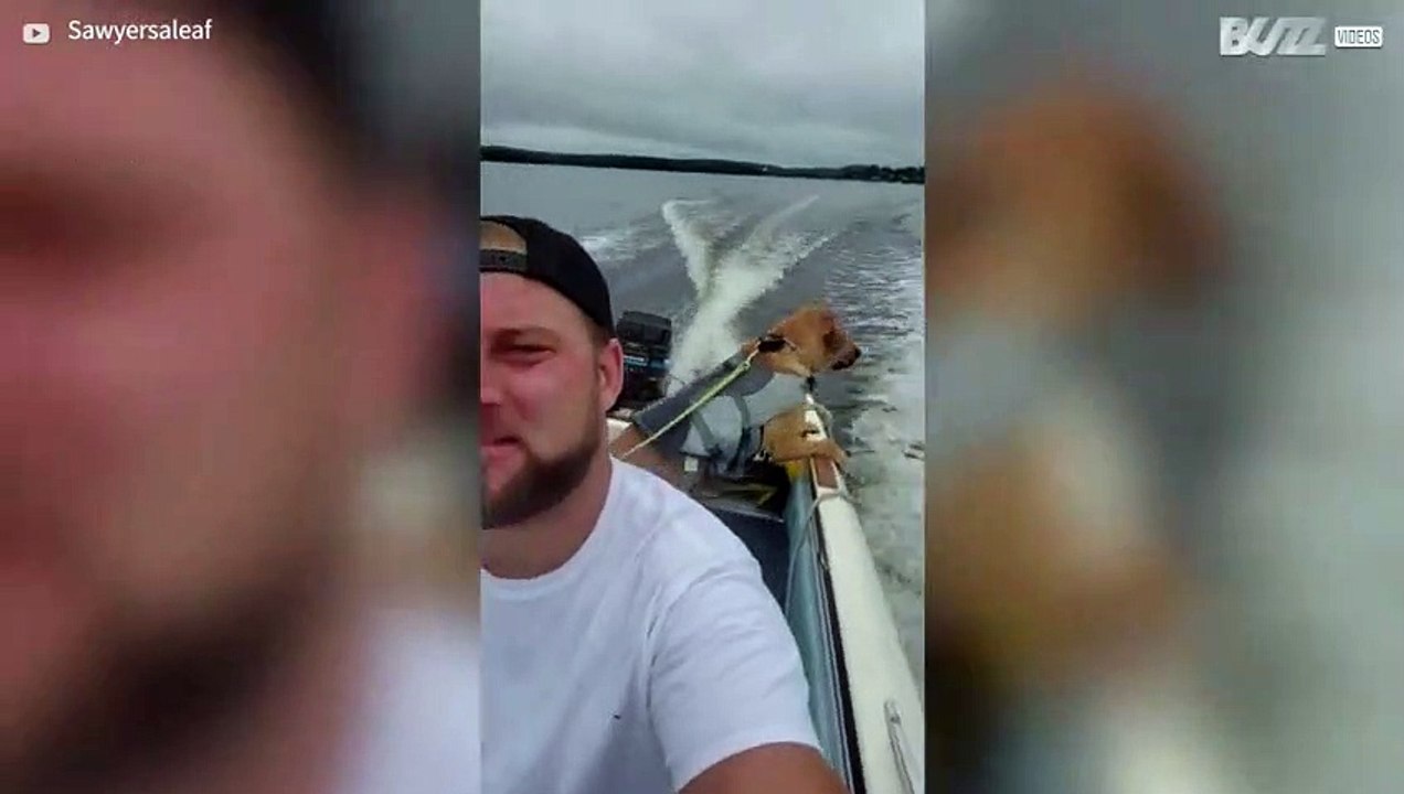 Dog has great fun on first boat trip -1