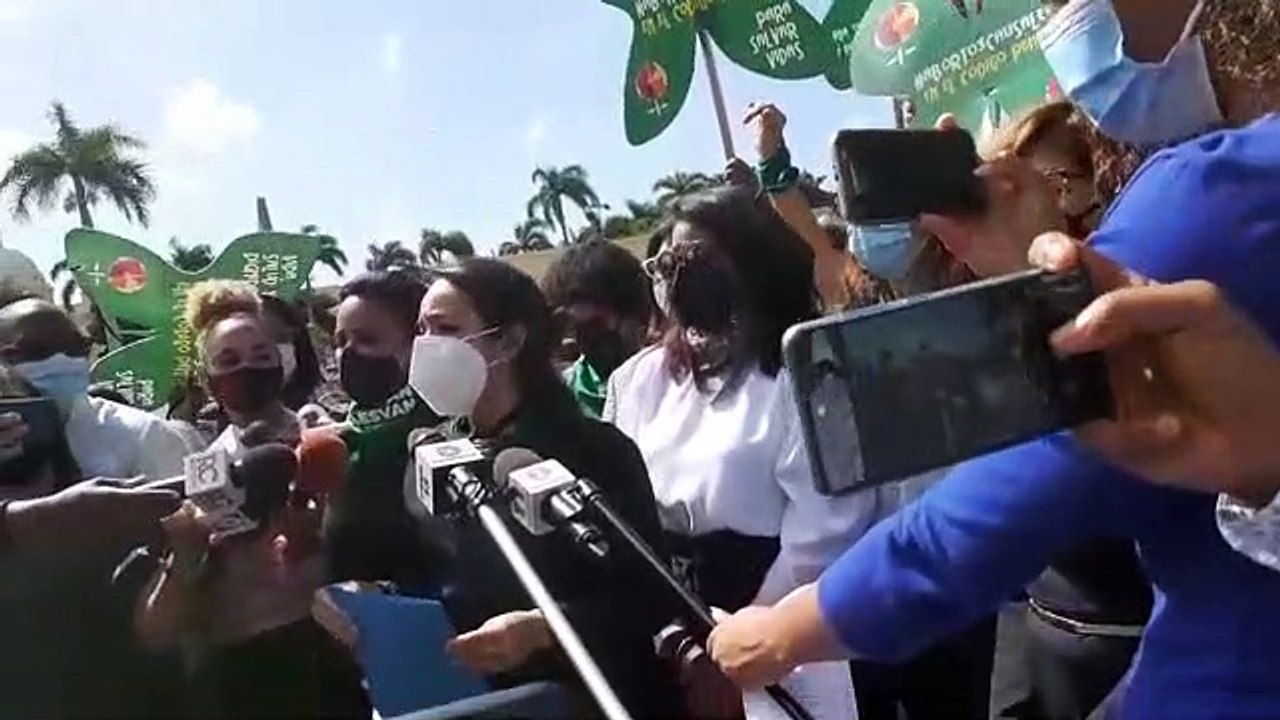 Perremeístas con Faride al frente llaman a legisladores de su partido a apoyar tres causales