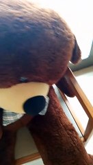 DON'T BE SAD PAPA BEAR 