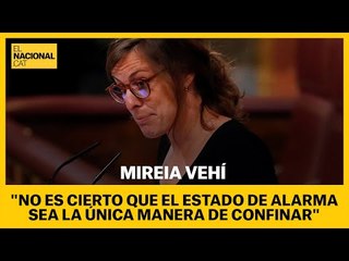 CONGRESO | VEHÍ: "No es cierto que el estado de alarma sea la única manera de confinar la población"