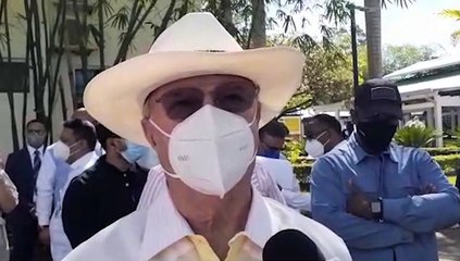 Hipólito Mejía duda de que existan fondos suficientes para construir verja en toda la frontera