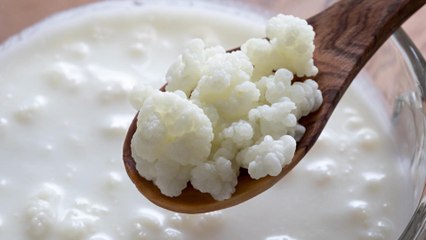 8 Propiedades y Beneficios del KÉFIR
