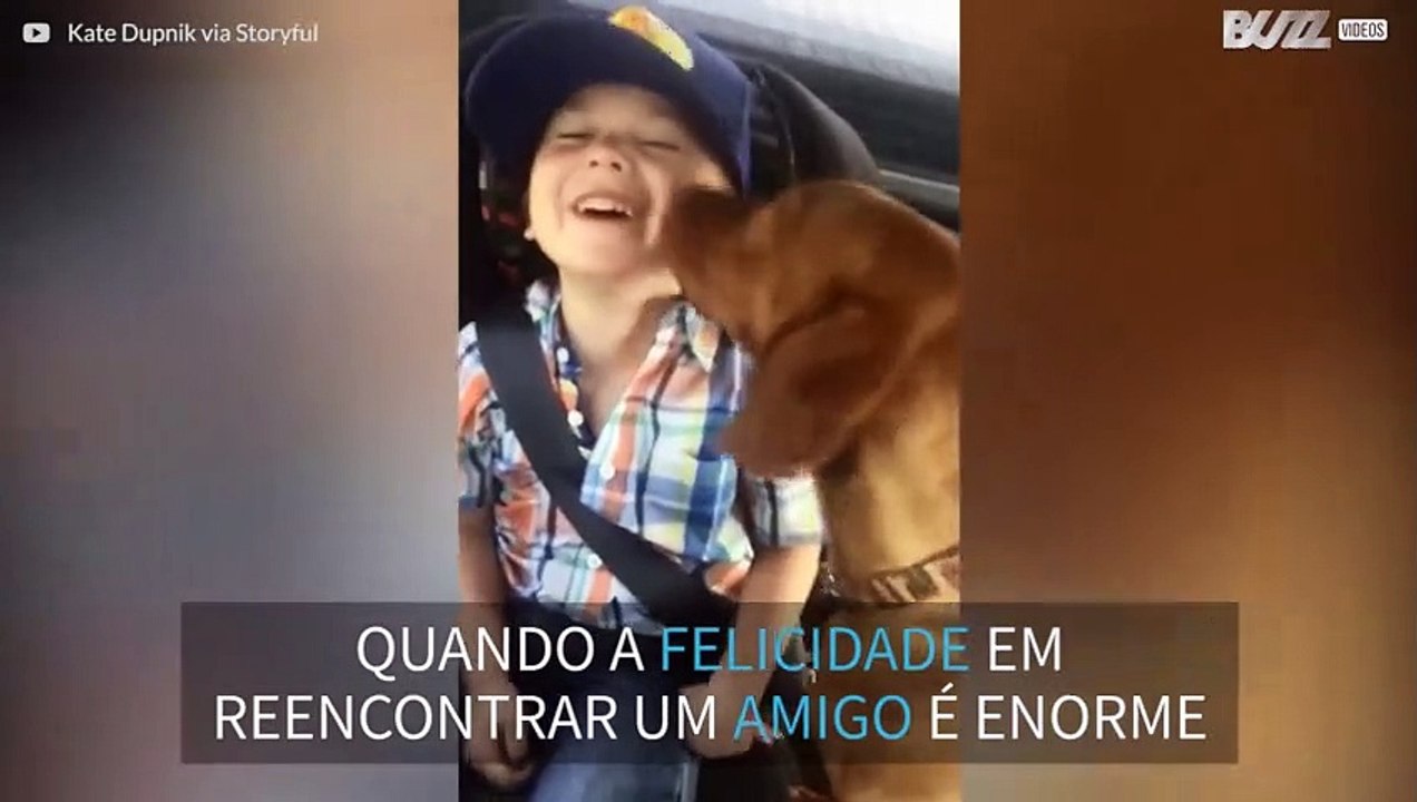 Este cão está realmente muito feliz em ver seu dono