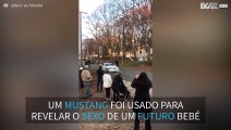 Mustang usado para revelar sexo de bebé à família