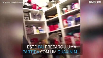 Pai prega partida à filha com guaxinim embalsamado!