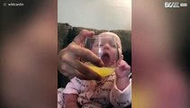 Bebé tenta beber a mimosa do seu pai