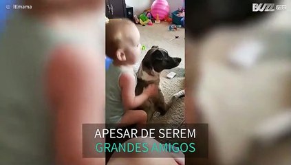 Bebé dá demasiado amor ao seu cão
