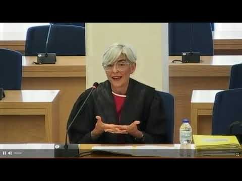 Tubau diu que sembla que els fiscals pretenguin fer un copia i enganxa de la sentència del Suprem