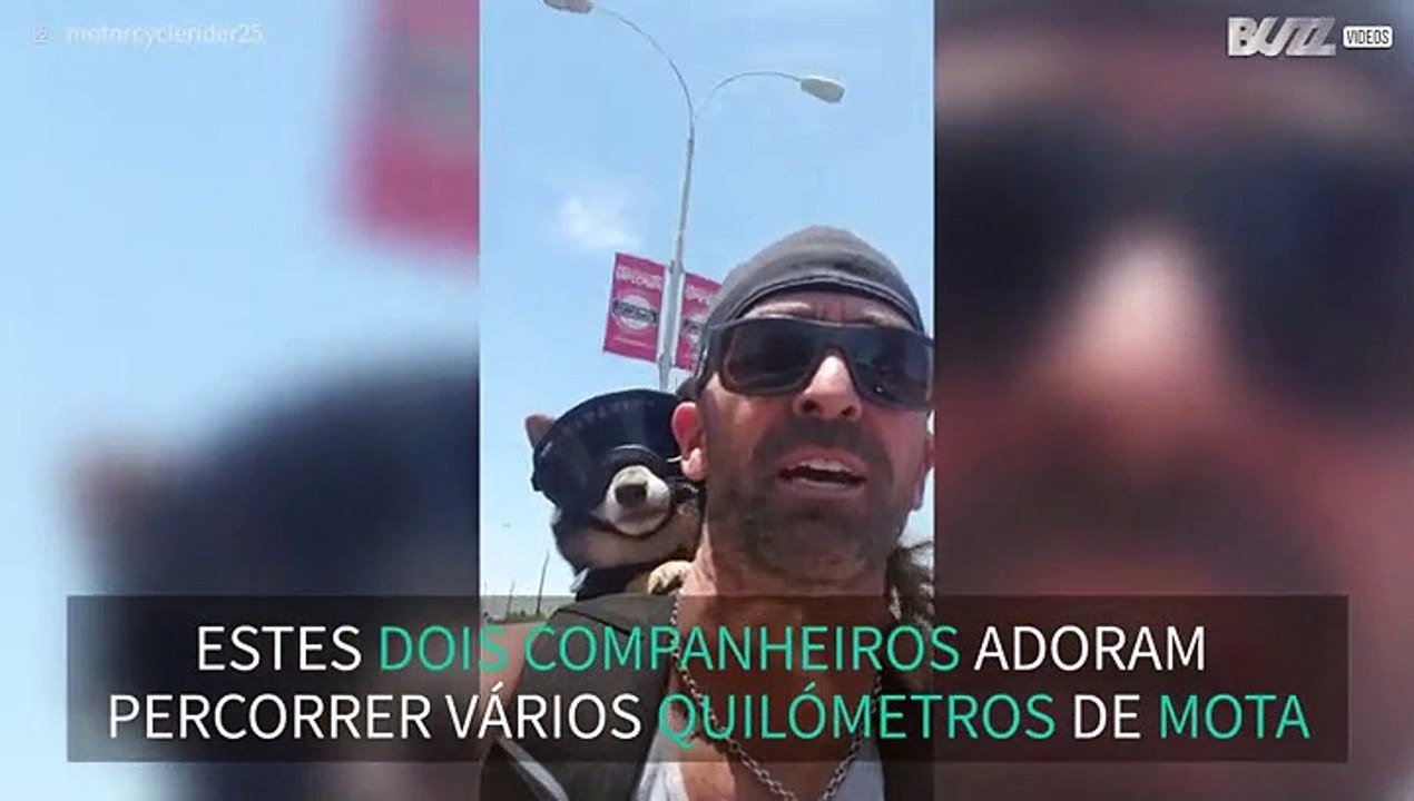 Cão radical passeia de mota com o seu dono